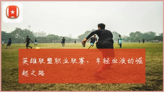 英雄联盟职业联赛,年轻血液的崛起之路